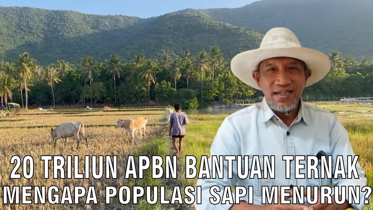 
                                 Populasi-Sapi-Indonesia-Menurun